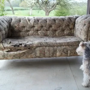 Decorative Antiques in West Sussex