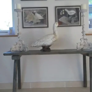 Decorative Antiques in West Sussex