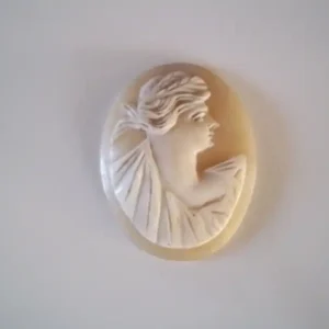 an Ivory of a roman head