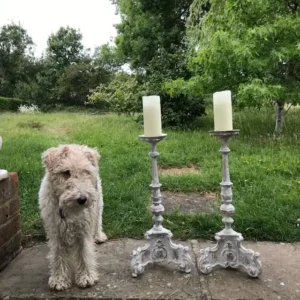 Decorative Antiques in West Sussex