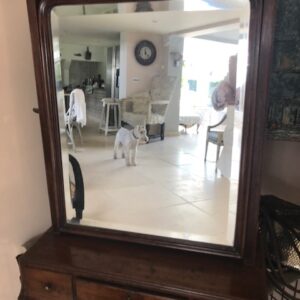 Dressing mirror C1860